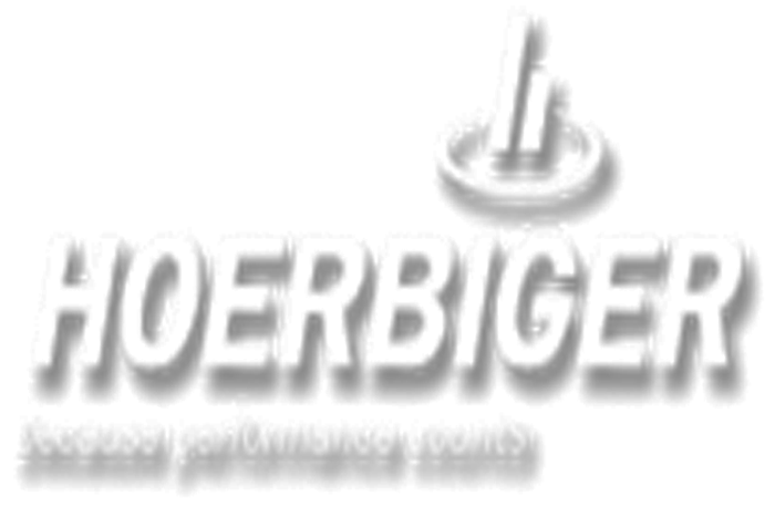 Hoerbiger India Pvt.Ltd.